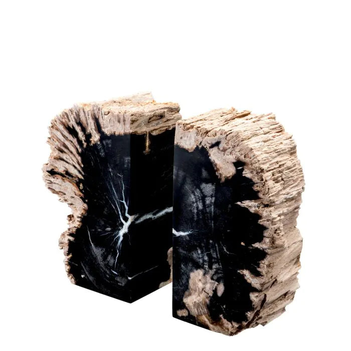 Petrified Wood Bookends | Pair of 2