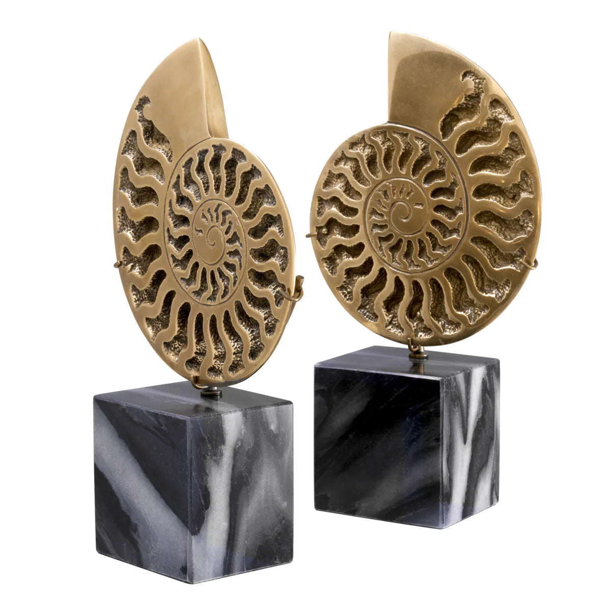 Burnished Brass Ammonite Sculptures