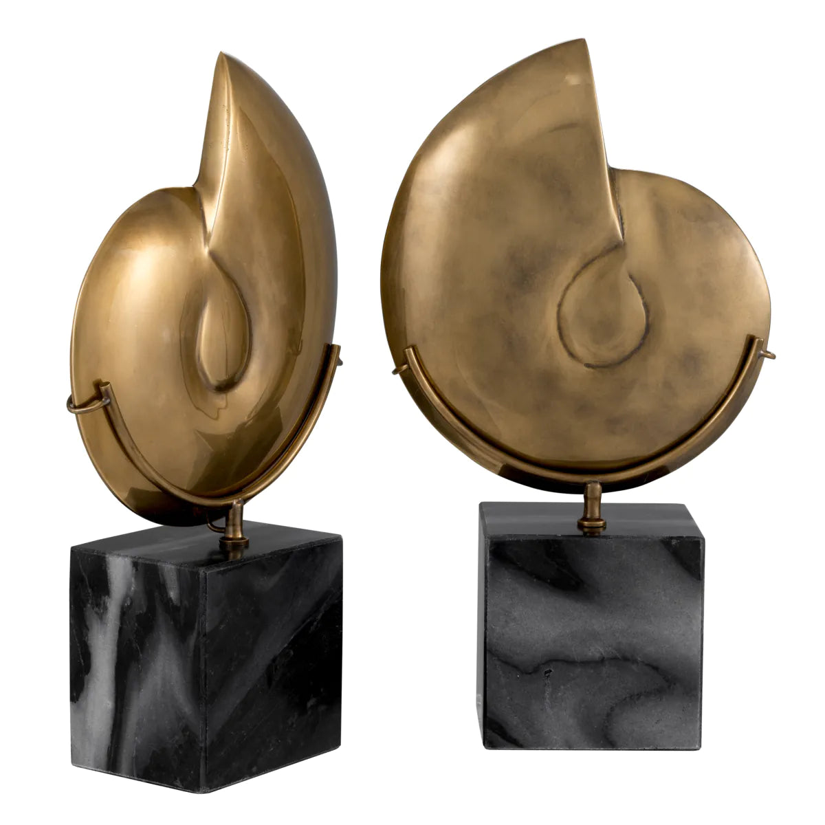 Burnished Brass Ammonite Sculptures