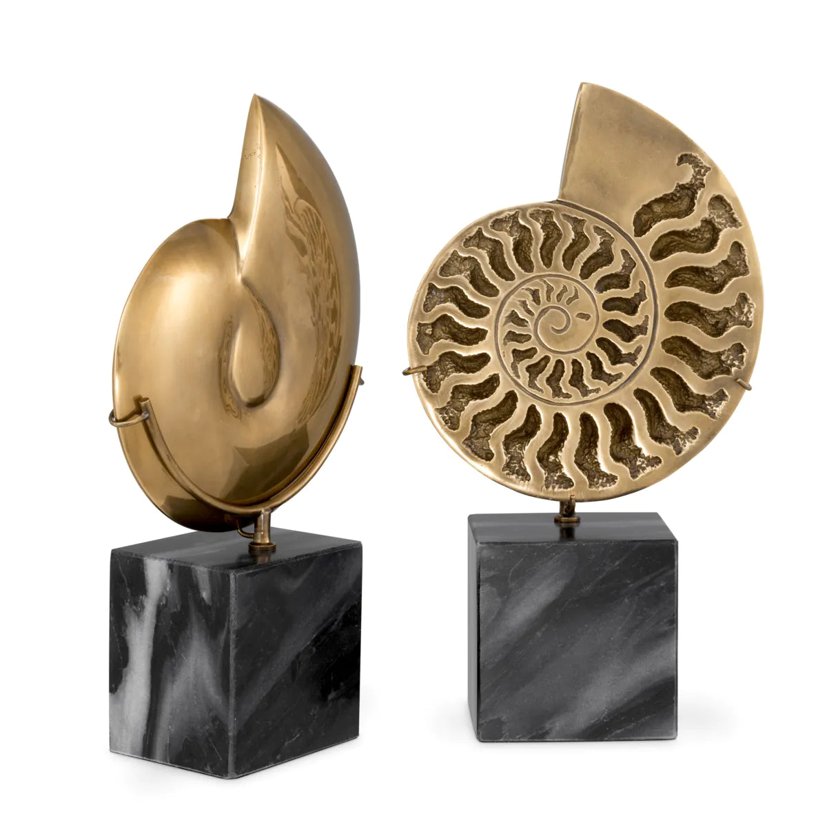 Burnished Brass Ammonite Sculptures