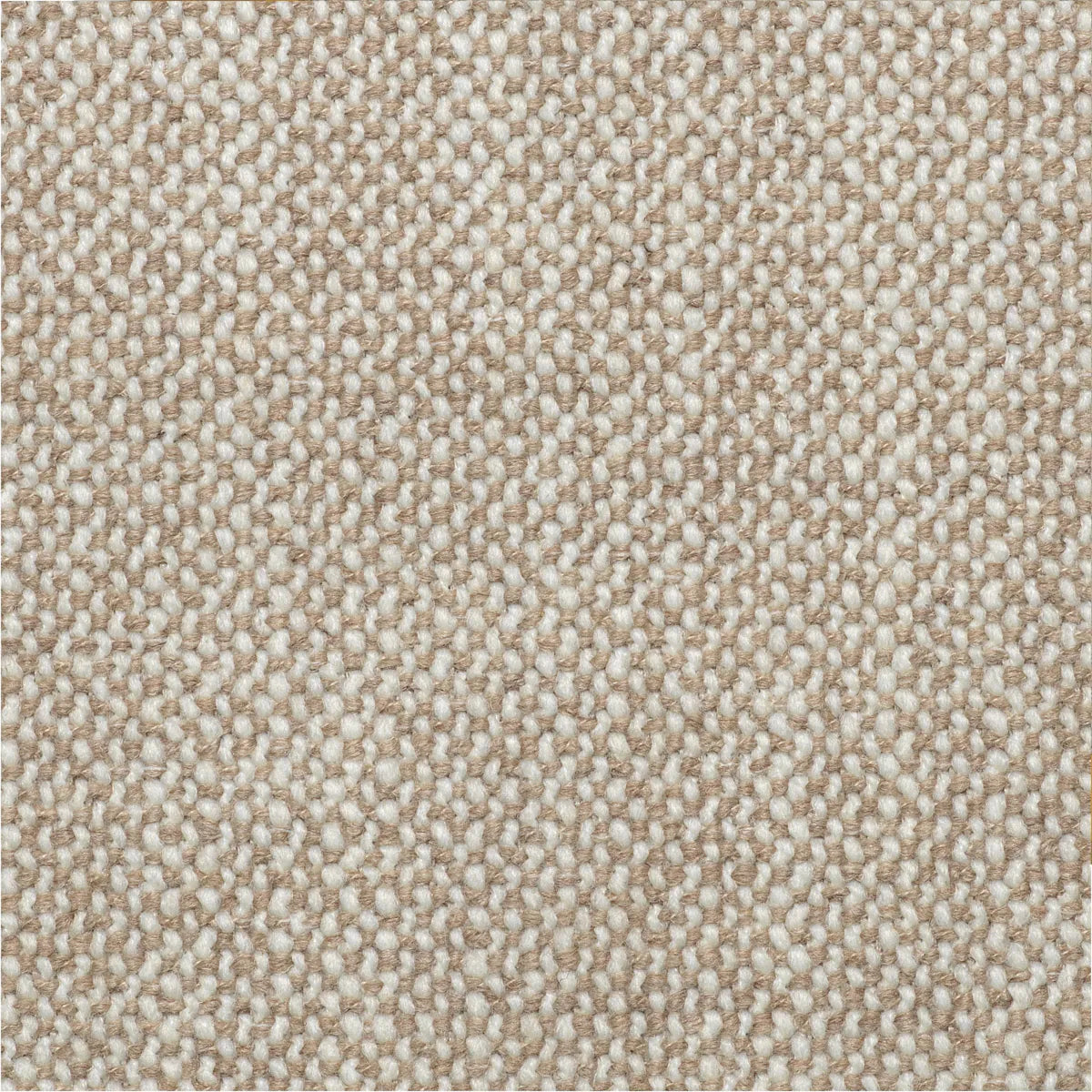 Kayden Upholstered Bed