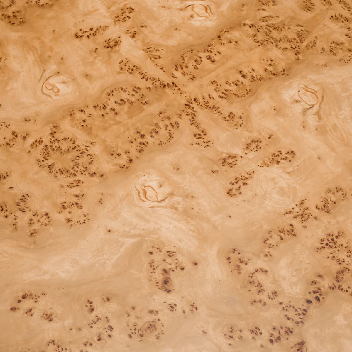 Mappa Burl Three-Piece Coffee Table