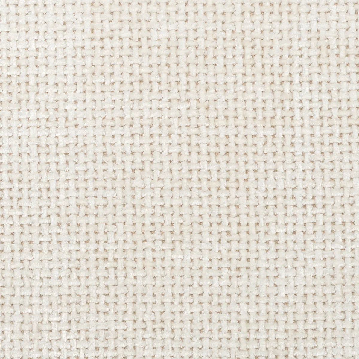 Amore Sofa | Small