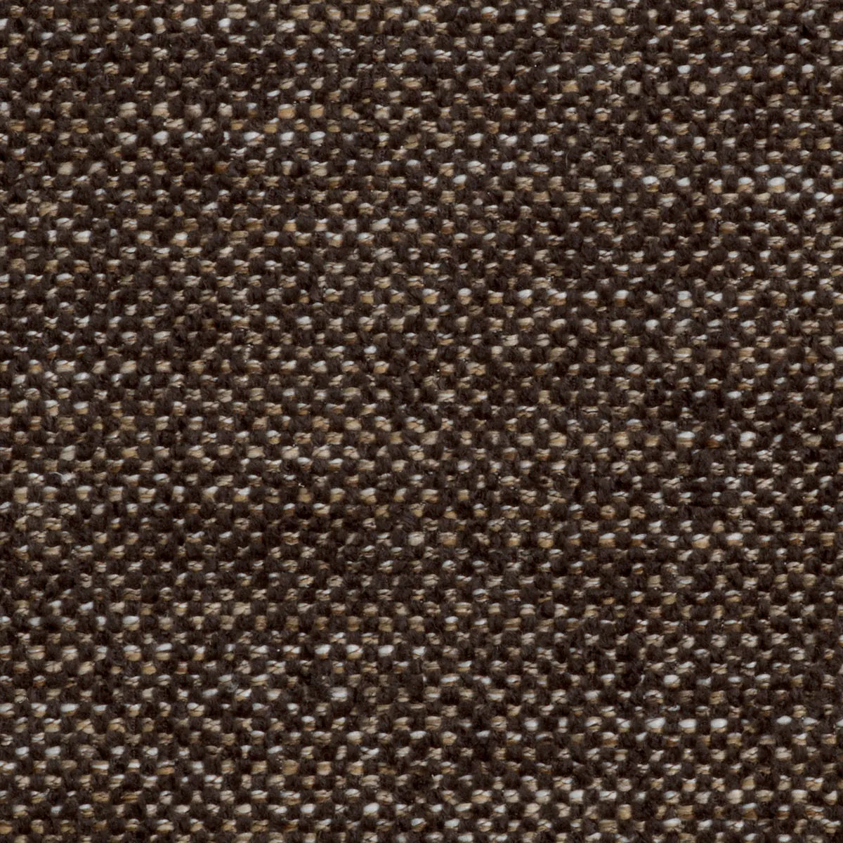 Aiden Dining Chair | Brown