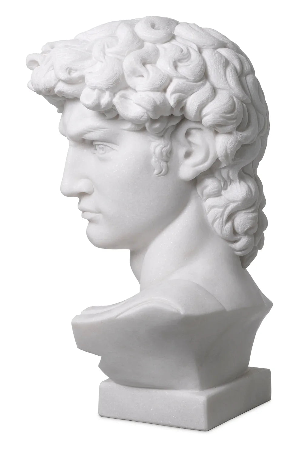 Marble Bust of David