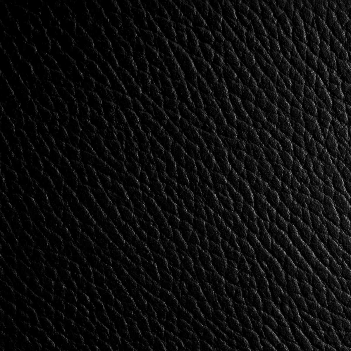 Monarch Bar Tray | Black
