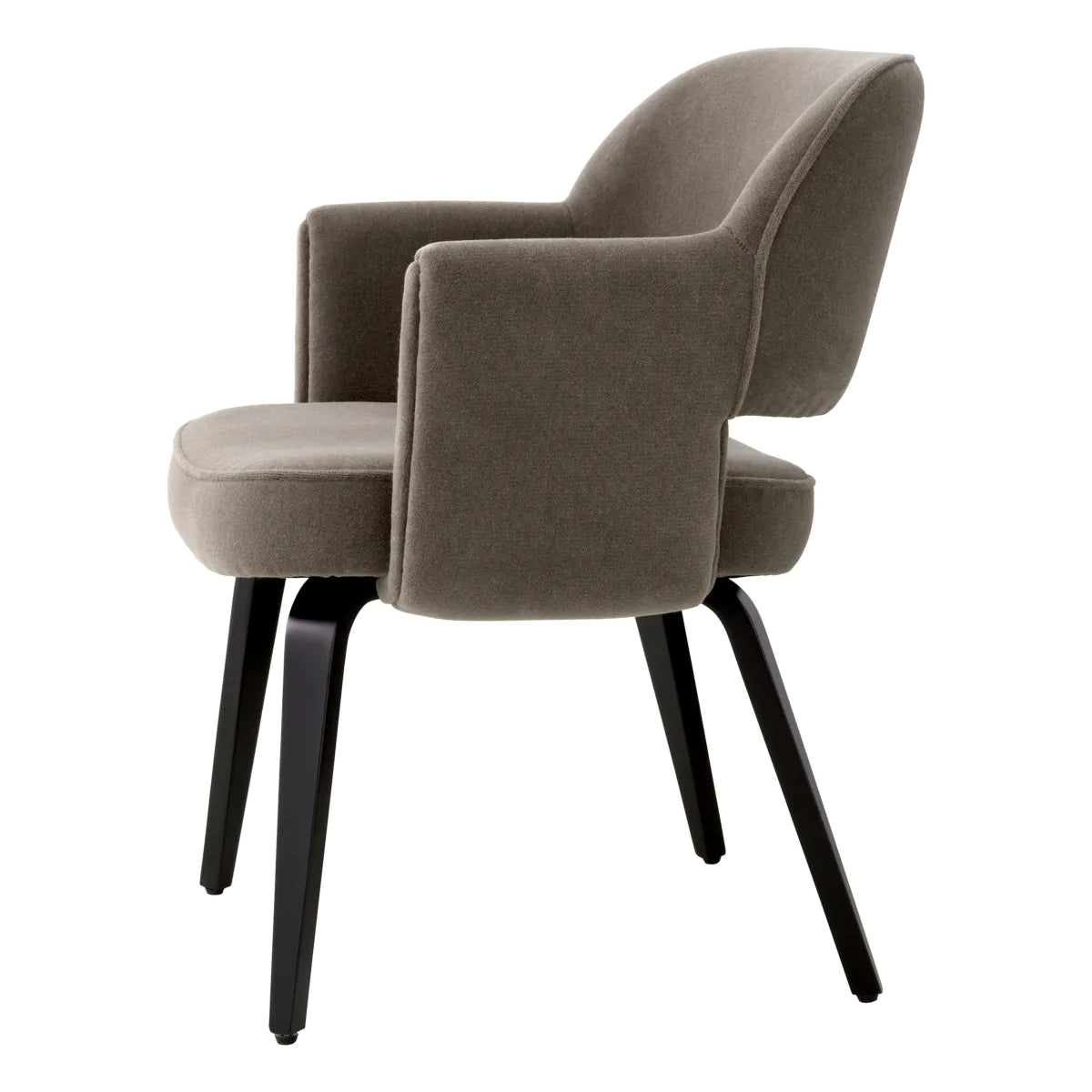 Park Dining Chair | Beige