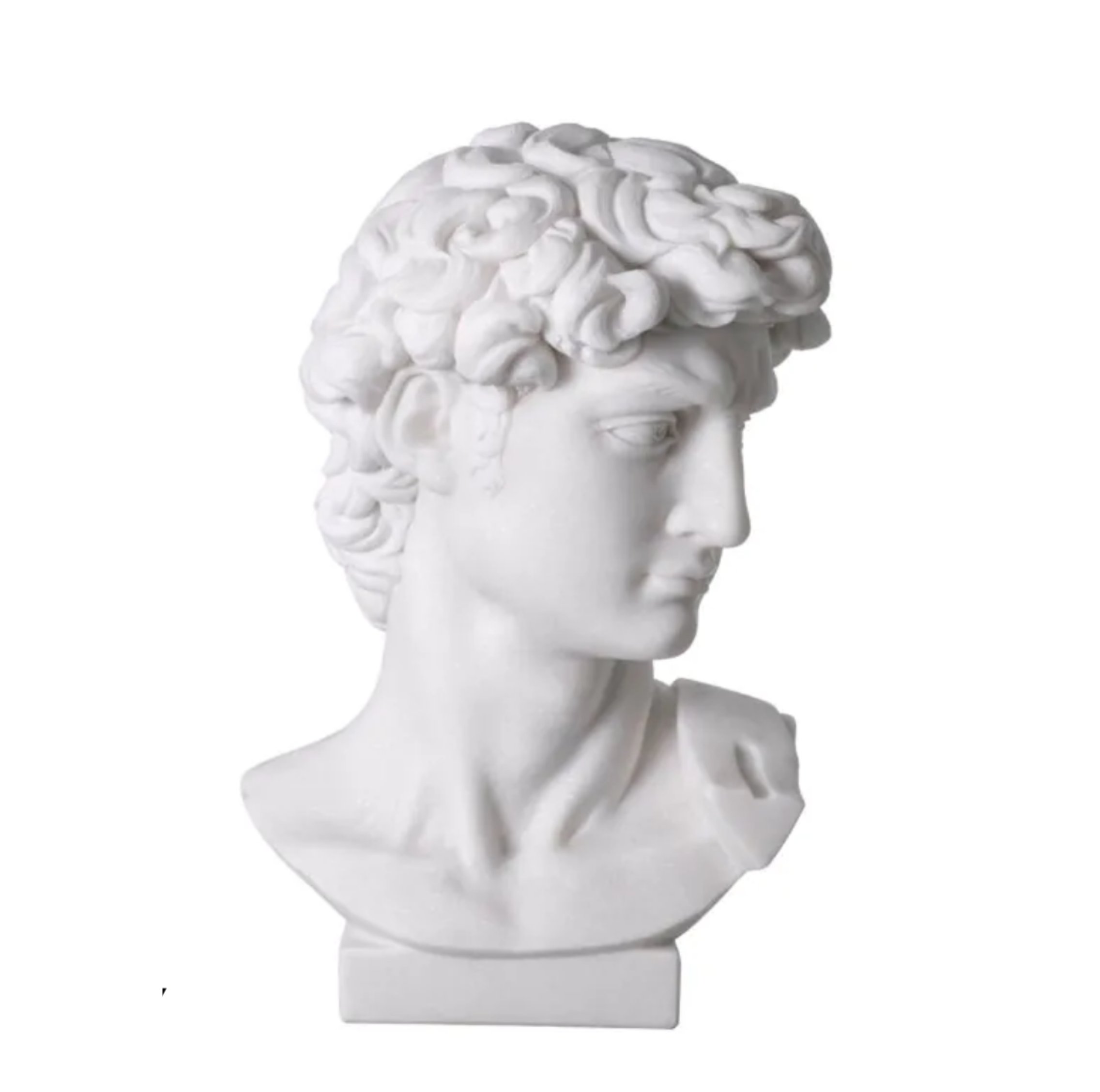 Marble Bust of David