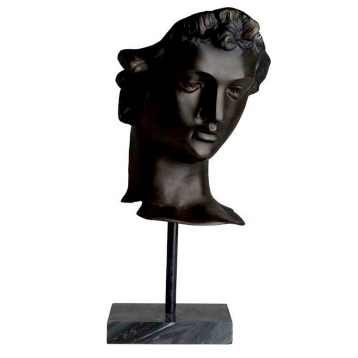 Bronze Bust of David