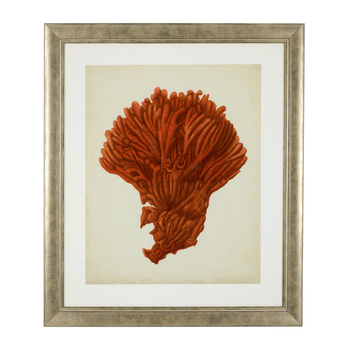 Antique Red Corals | Set of 6