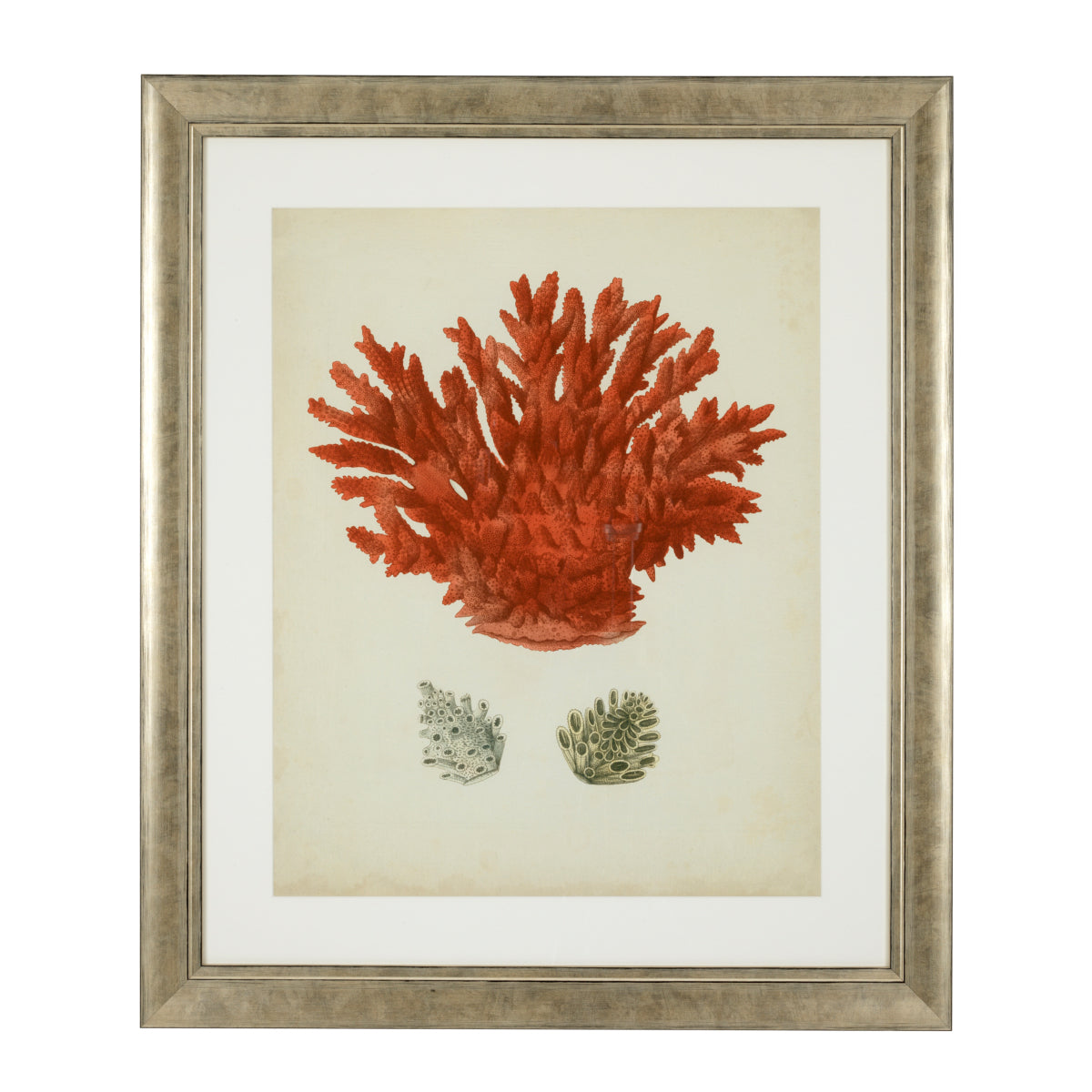 Antique Red Corals | Set of 6