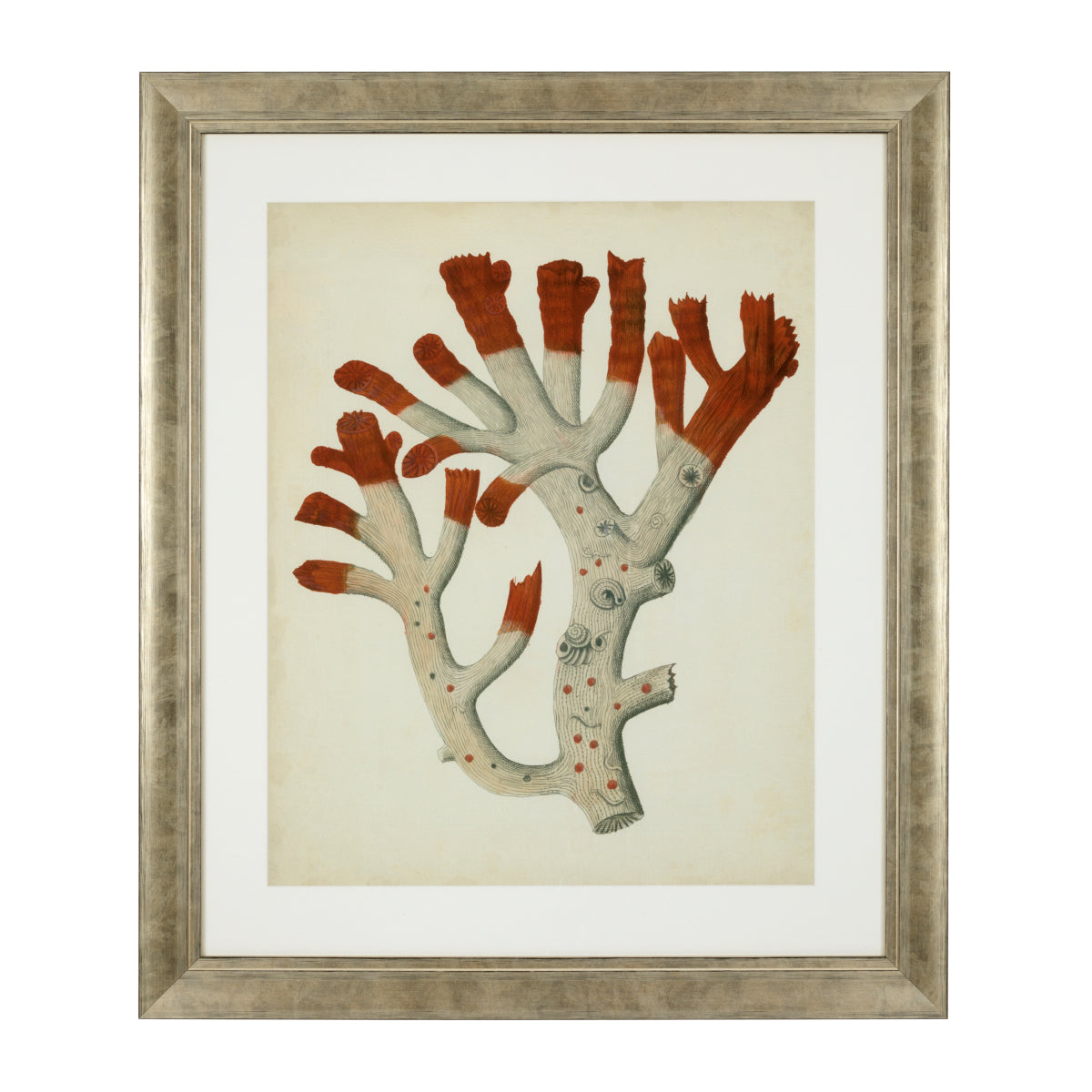 Antique Red Corals | Set of 6