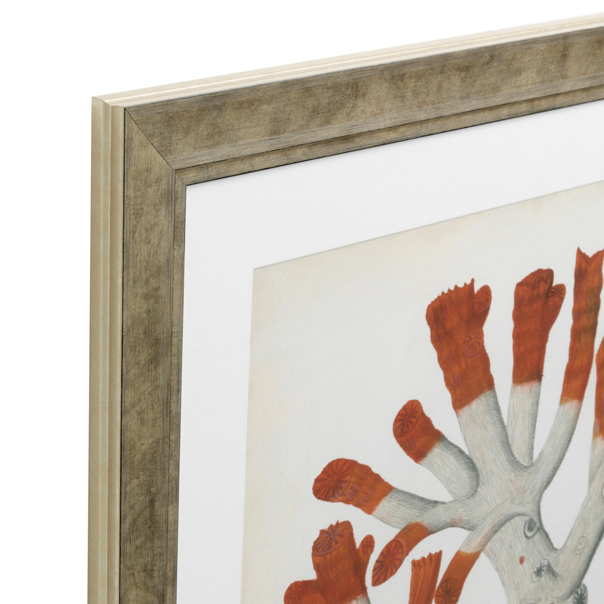 Antique Red Corals | Set of 6
