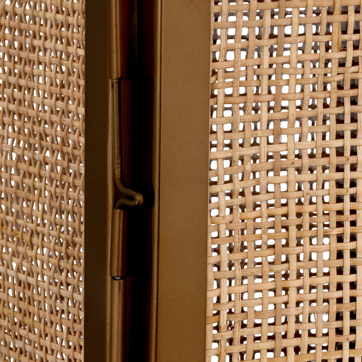 Georgian Hurricane | Extra Large