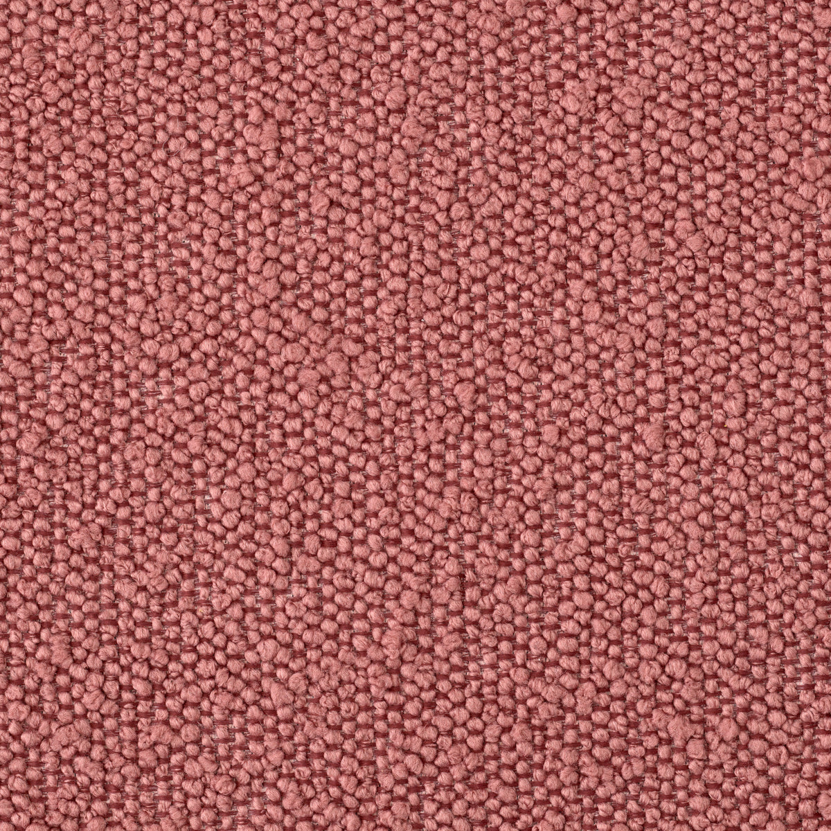 Vignola Chair | Rose