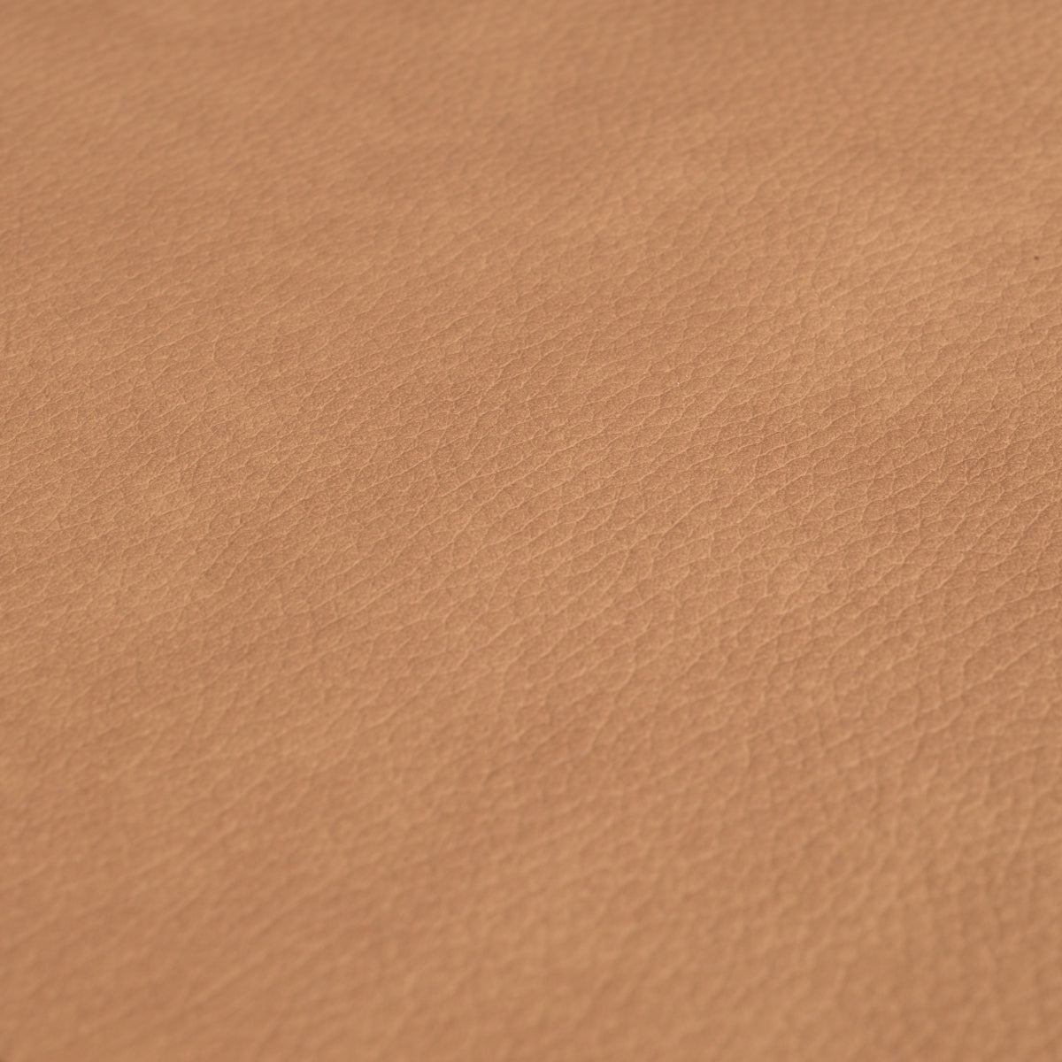 Donato Dining Chair | Camel Leather