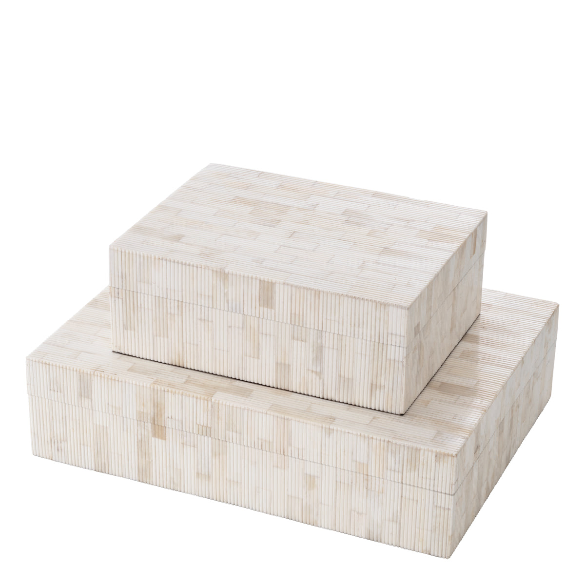 Scoop Natural Bone Box | Large