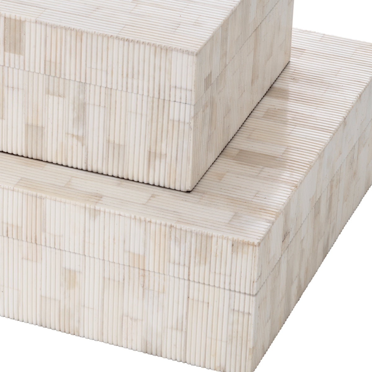 Scoop Natural Bone Box | Large