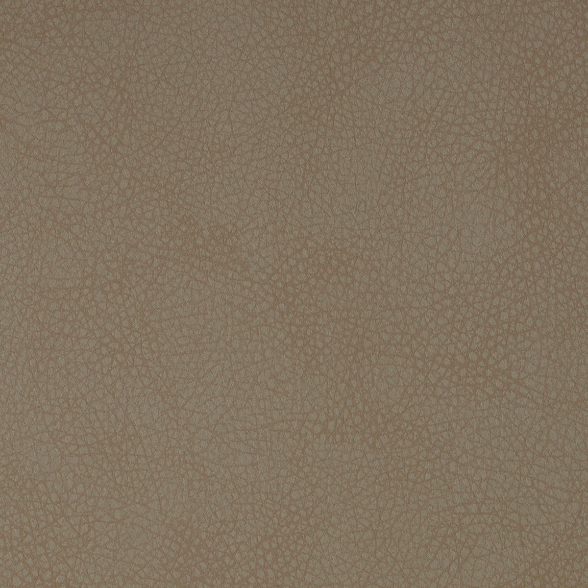 Cooper Dining Chair Pair | Beige Performance Leather