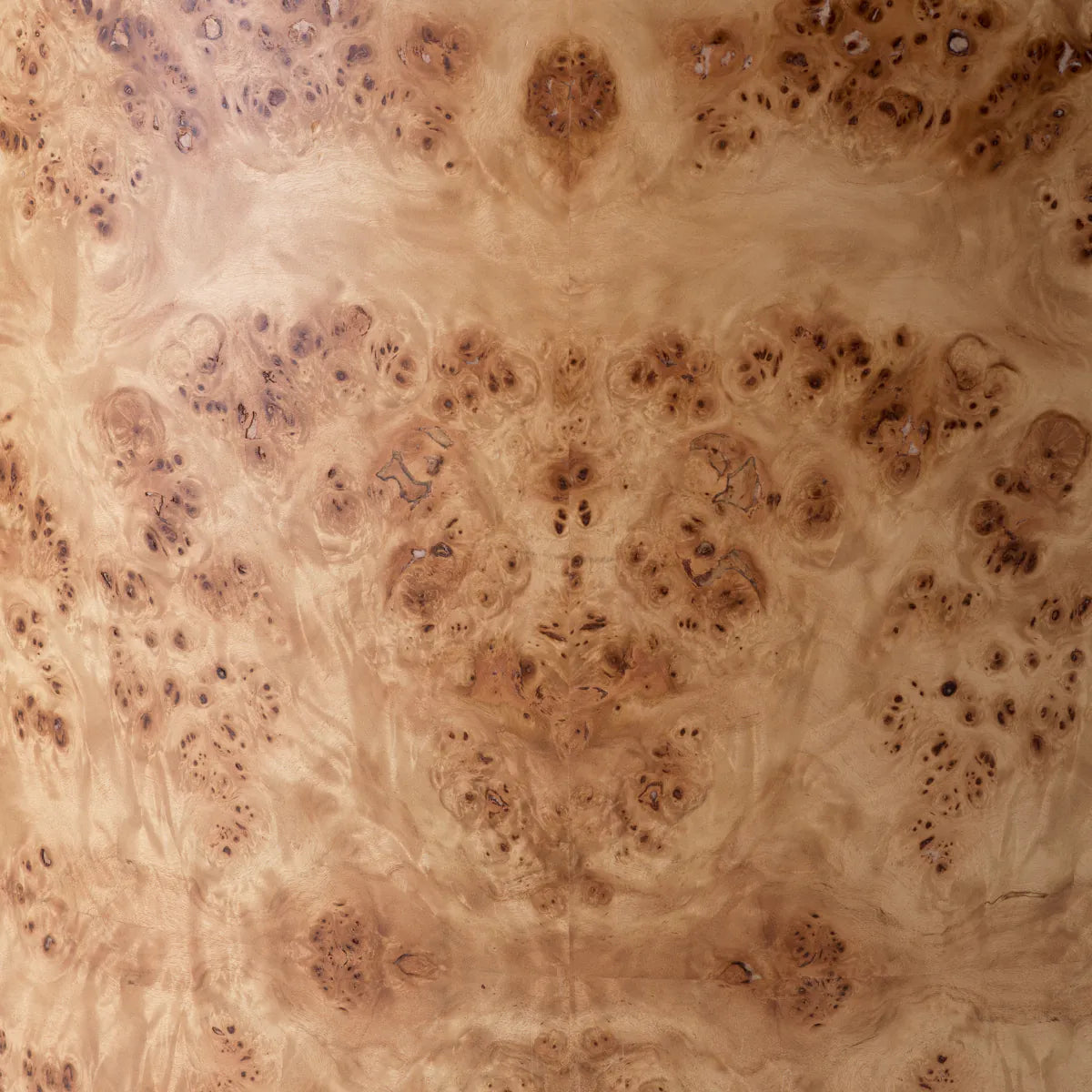 Arcadia Mappa Burl Tub Chair