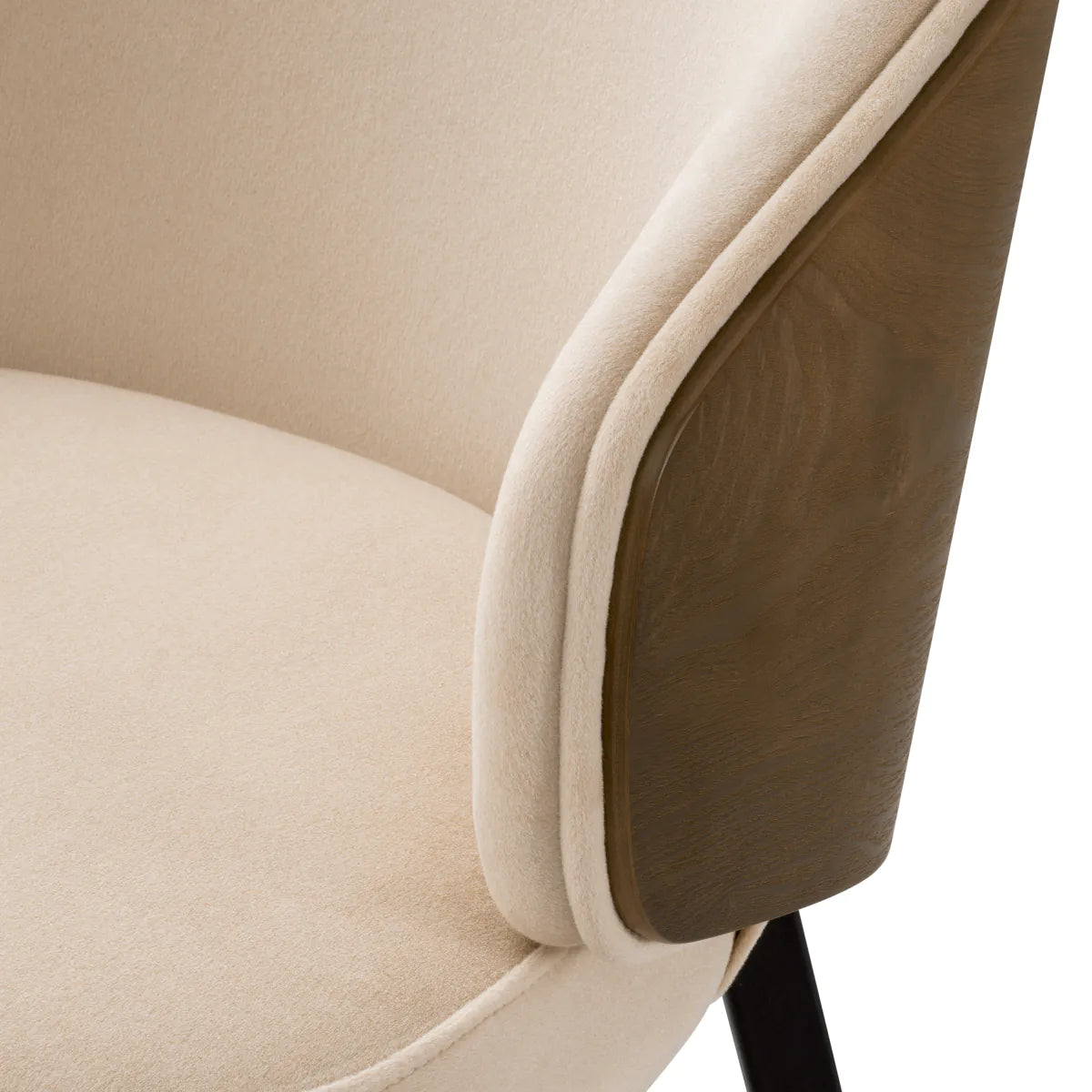 Camerota Dining Chair