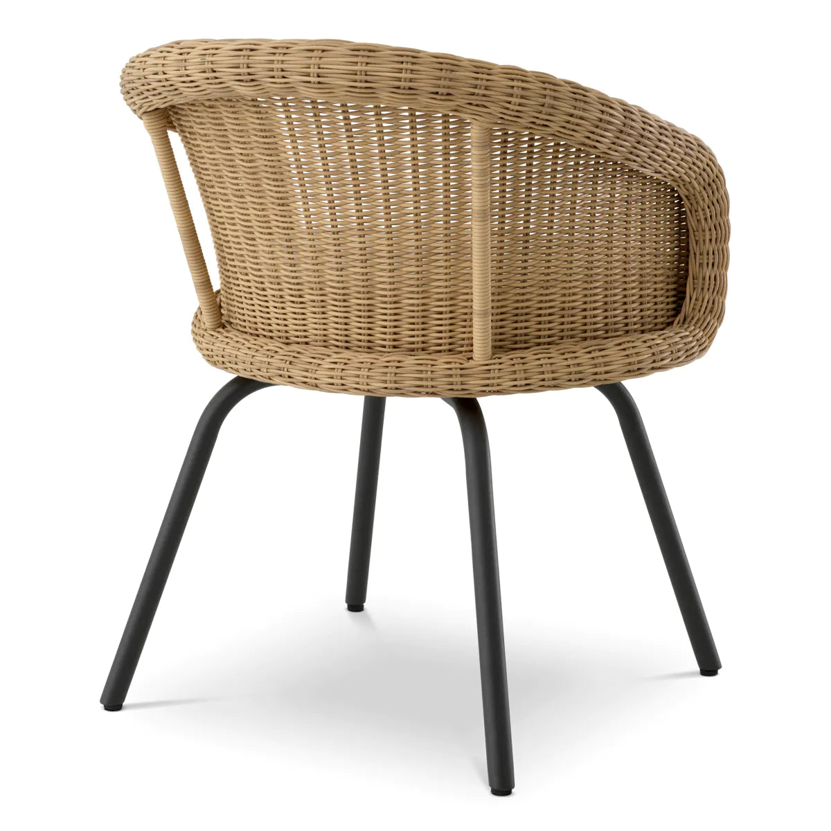 Nolan Indoor Outdoor Dining Chair