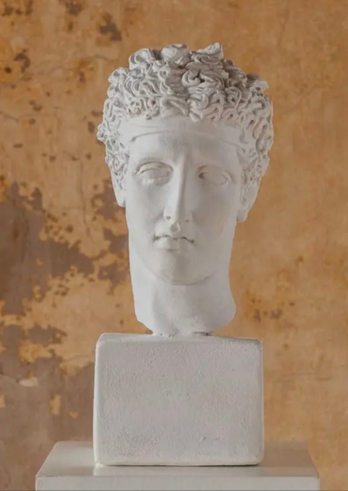 Perseus Plaster Bust