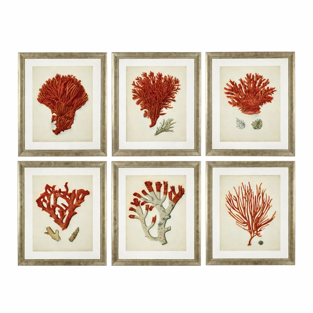 Antique Red Corals | Set of 6