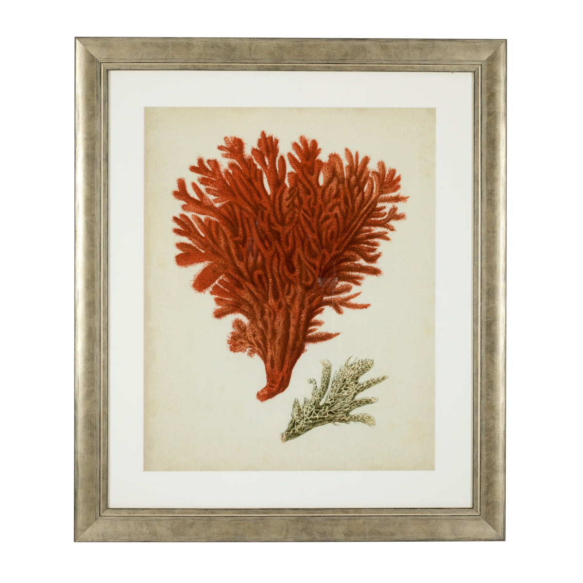 Antique Red Corals | Set of 6