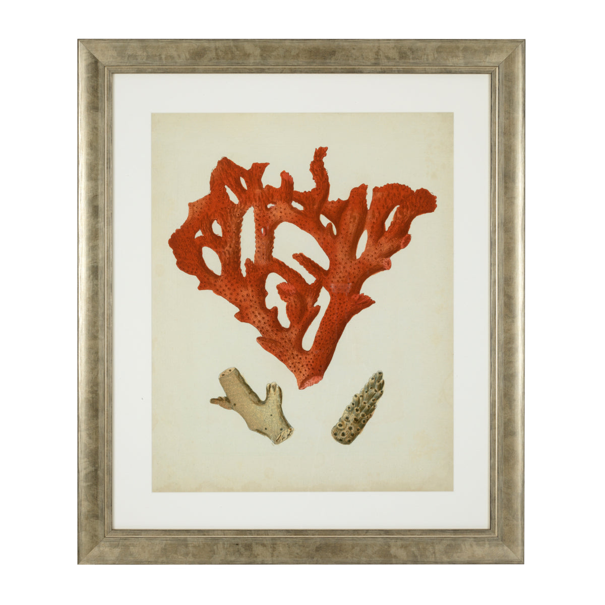 Antique Red Corals | Set of 6