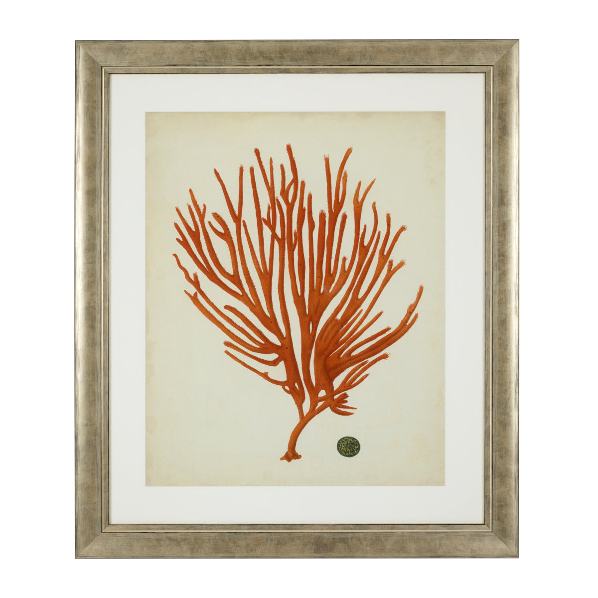 Antique Red Corals | Set of 6