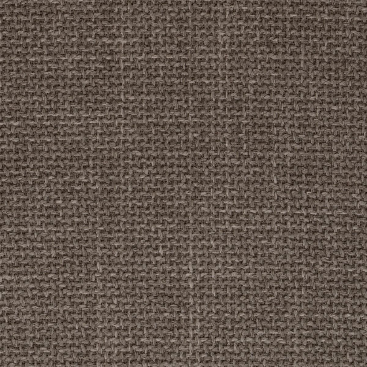 Camerota Dining Chair | Grey