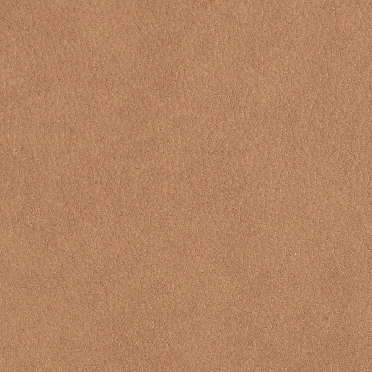 Donato Dining Chair | Camel Leather