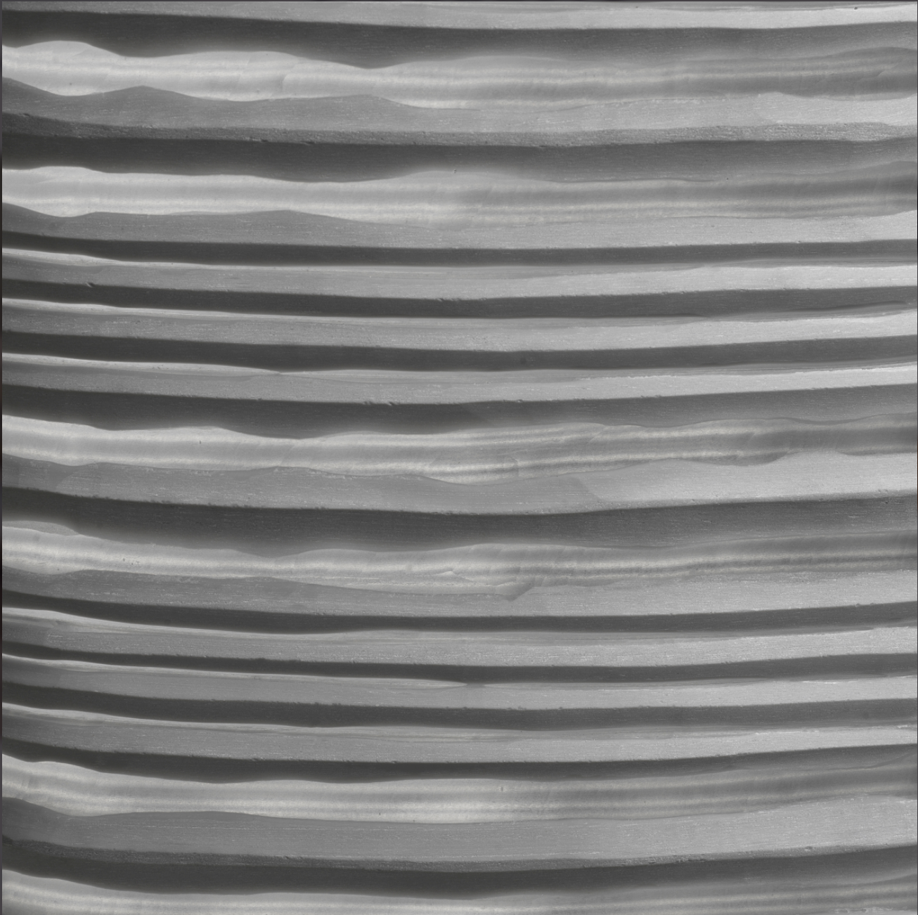 Ashby Vase | Large